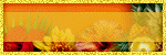 Happy Pumpkin Studio